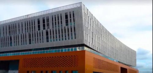 湛江海湾东岸 五年蓝图绘就，文化场馆管理服务迈向新篇章