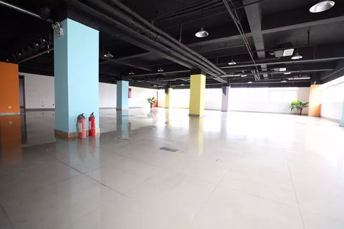 市区文化新地标免费开放，市民休闲添好去处